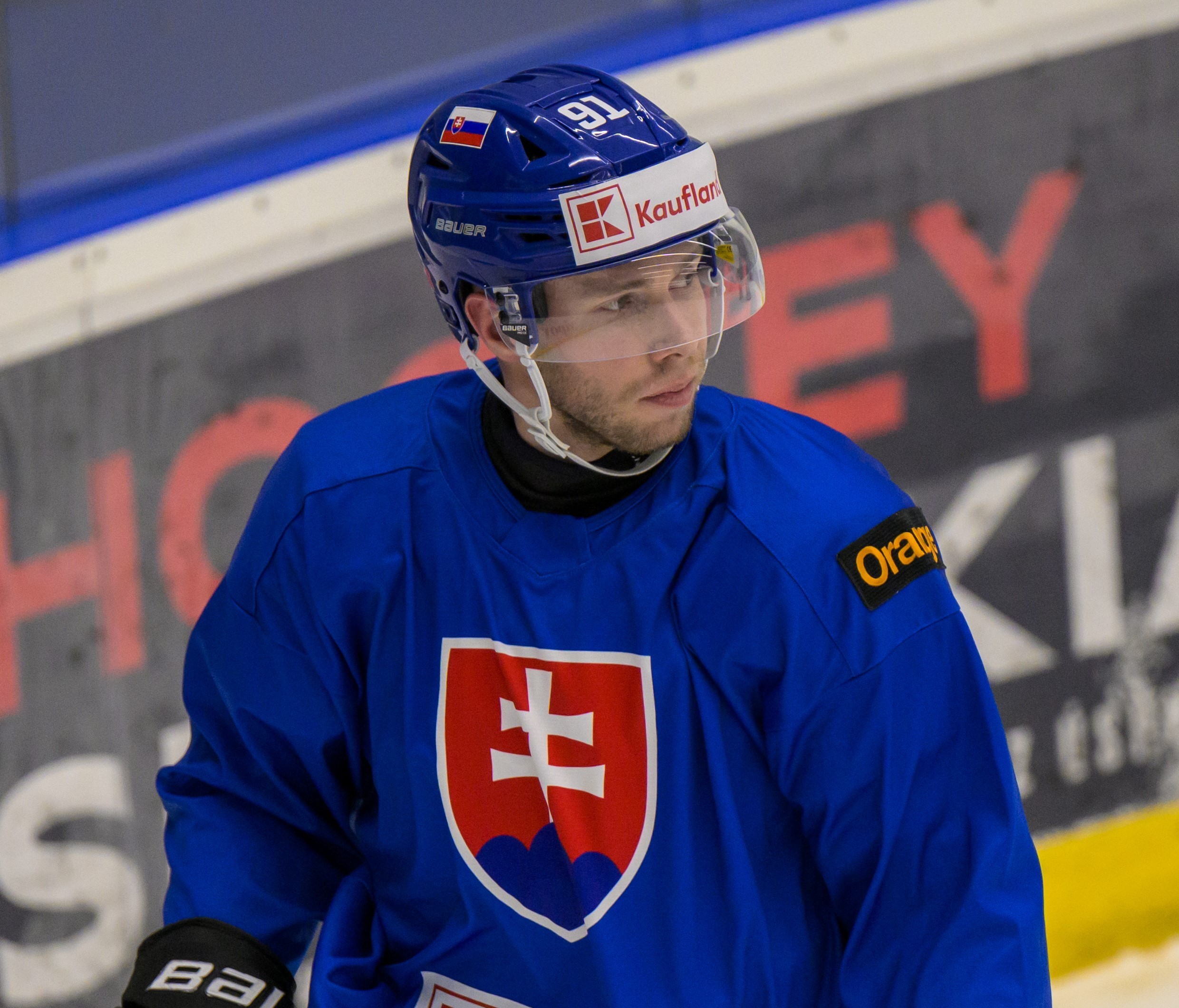 Hokejová reprezentácia